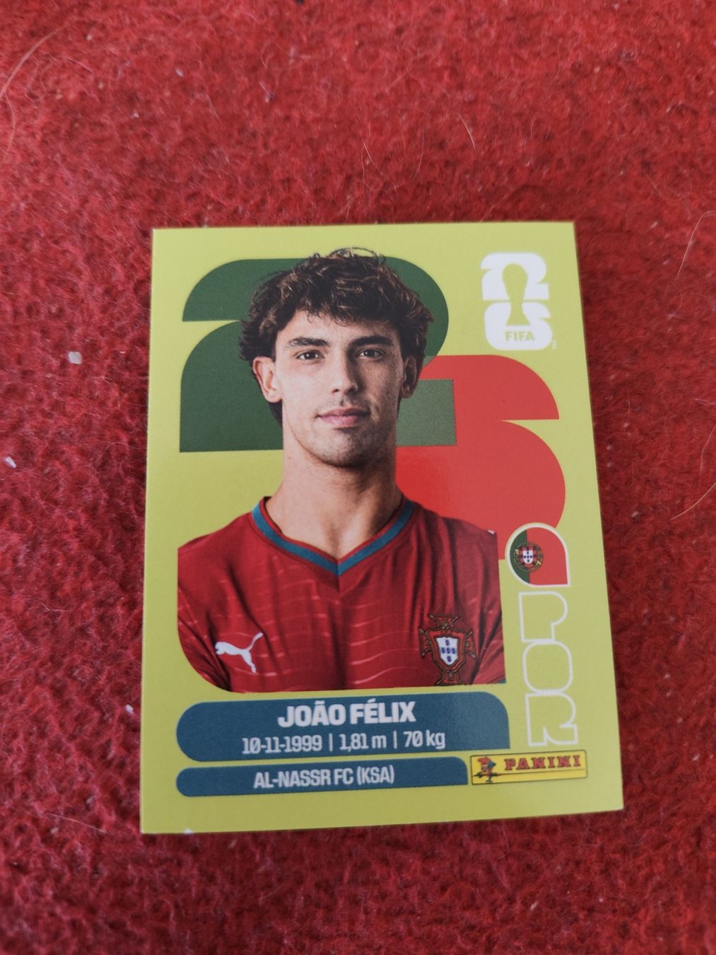 Panini Carte collezionabili: Panini Bild Por 17 – Nuovo (secondo la descrizione) da Lieli venduto da Maholo
