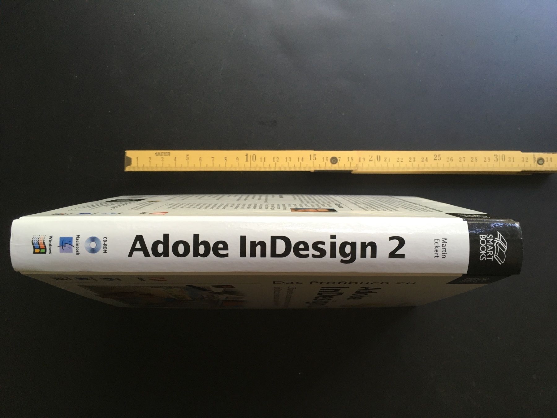 Libri: Buch: M. Eckert – Das Profibuch zu Adobe InDesign 2 (2003) – Usato da Basel venduto da loukash 2