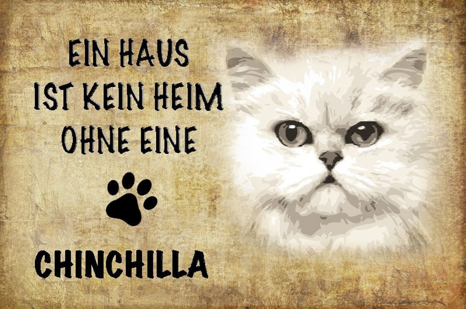 Schilder: Blechschild-CHINCHILLA KATZE-KEIN HEIM O – Neu und originalverpackt aus Rupperswil von big-one-sale