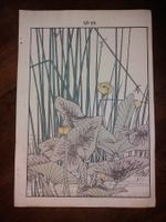 ANTIKER Japanischer Farbholzschnitt Teich blumen