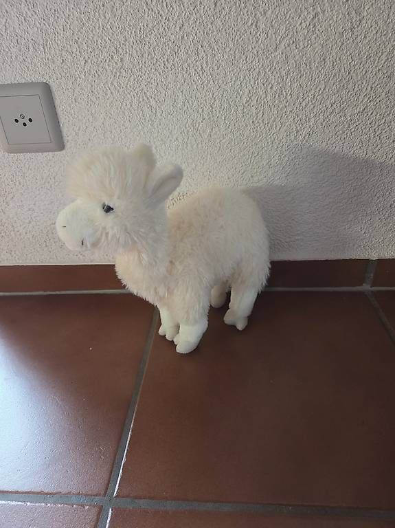 Jouets: Plüschtiere – D'occasion à Schachen b. Reute par jes_69lq 4