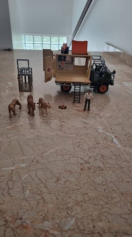 Giocattoli: Camion Wild Life  – Usato da St-Sulpice VD venduto da rog_c28g 2