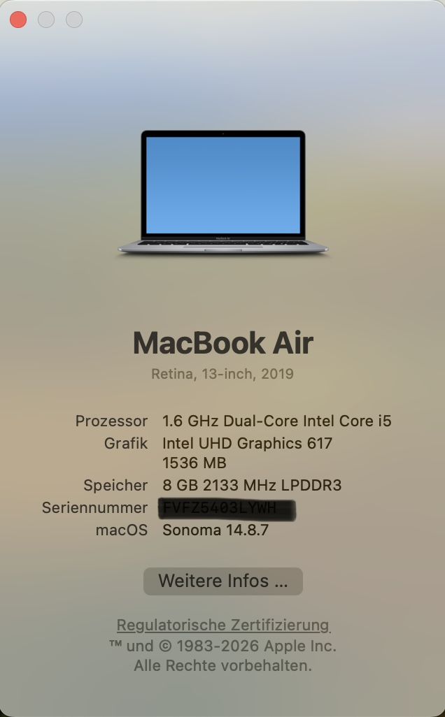 Apple Notebook: Apple MacBook Air, 13 Zoll, 2019 – Usato da Bern venduto da flyhigh92 6