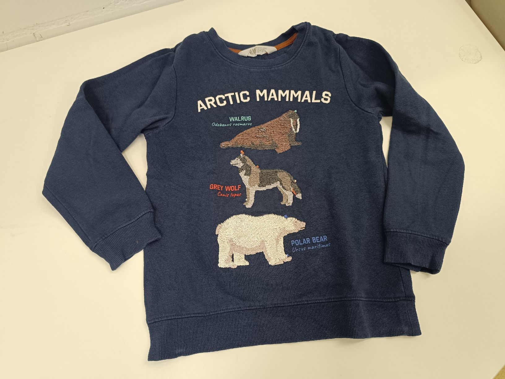 H&M Pullover & Sweatshirts: Pullover mit Wendepaillettebn Gr. 122/128 – Gebraucht aus Ehrendingen von Cheronimo2