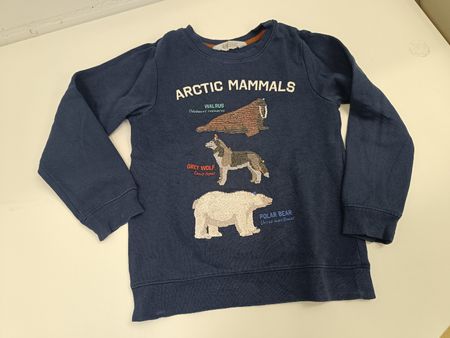 Pullover mit Wendepaillettebn Gr. 122/128