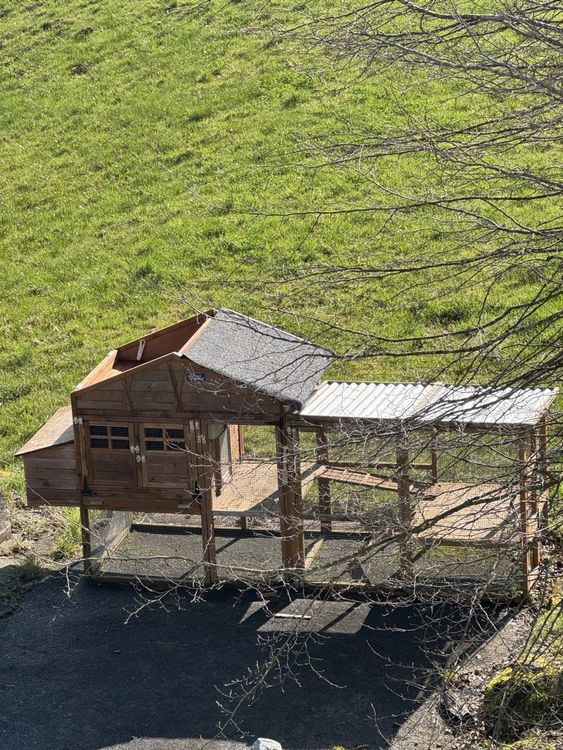 Hühnerstall mit Auslauf und automatischer Tür (Gebraucht) in Menzingen ...
