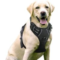 ✅ NEU Hundegeschirr für Große Hunde