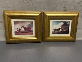 2 quadretti a tema "cavalli" ben incorniciati