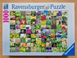 Ravensburger Puzzle "Kräuter/Gewürze/Essenzen", 1000 Teile