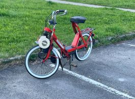 Solex 5000 frisch ab service und mfk
