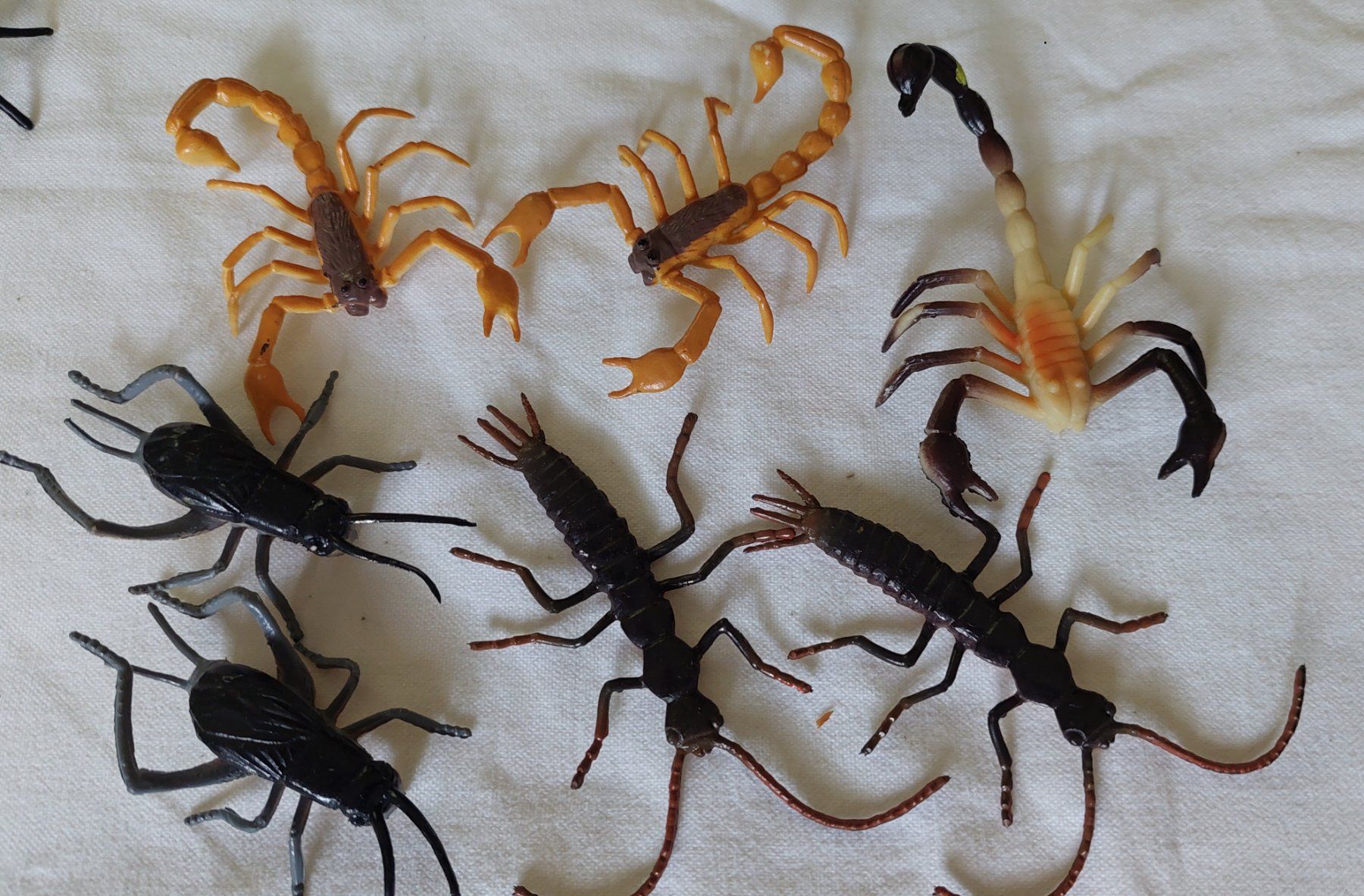 Jouets: viele Insekten – D'occasion à Uitikon Waldegg par Smeragol 5