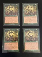 Magic The Gathering: 4x Oath of Druids Exodus Japanisch