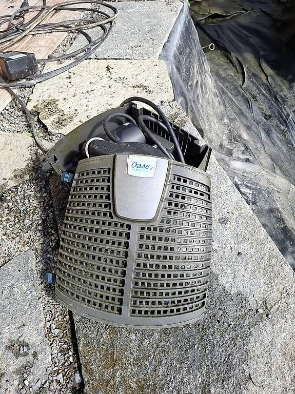Heizung: Teichpumpe Oase 30'000lt – Gebraucht aus aarberg von juerg1957 1