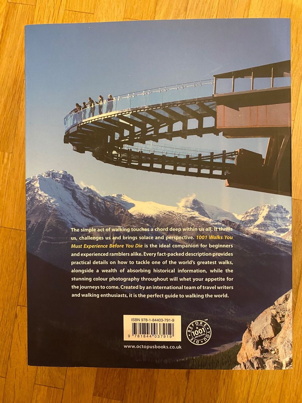 Libri: Livre 1001 marches – Nuovo (secondo la descrizione) da Fribourg venduto da BlolPloop 2