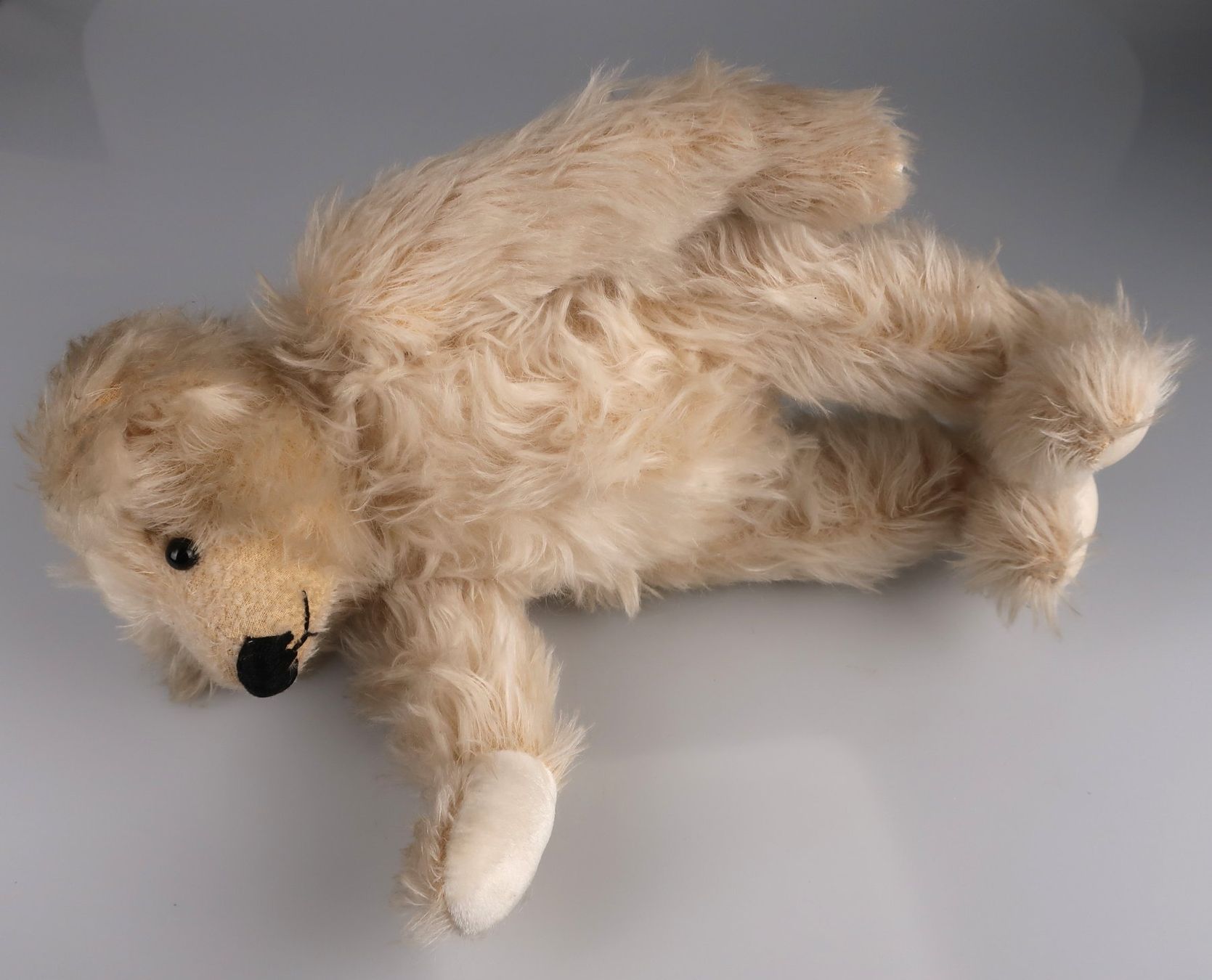 Spielzeuge: Süsser PAULA Designs Lovely Bears – Gebraucht aus Volketswil von brockipfannenstil 2