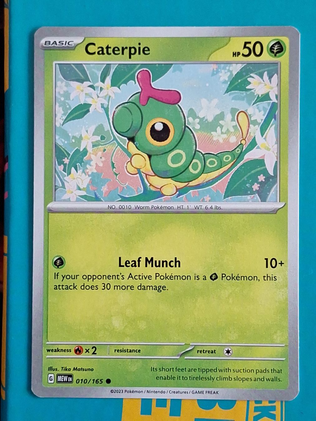 Pokémon Carte collezionabili: Caterpie - Pokemon Mew 151 Englisch – Usato da Altstätten SG venduto da GGsGameshop