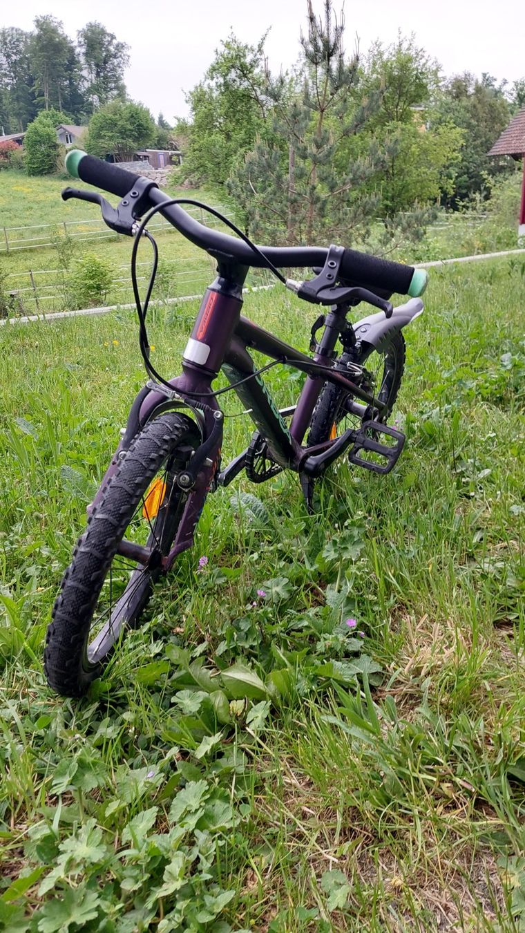 Orbea Velos: Kindervelo Orbea MX 16 Zoll – Gebraucht aus Benzenschwil von Sadt 3