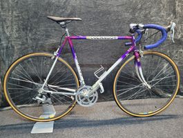 Vintage Cilo Rennrad (Colnago Optik)