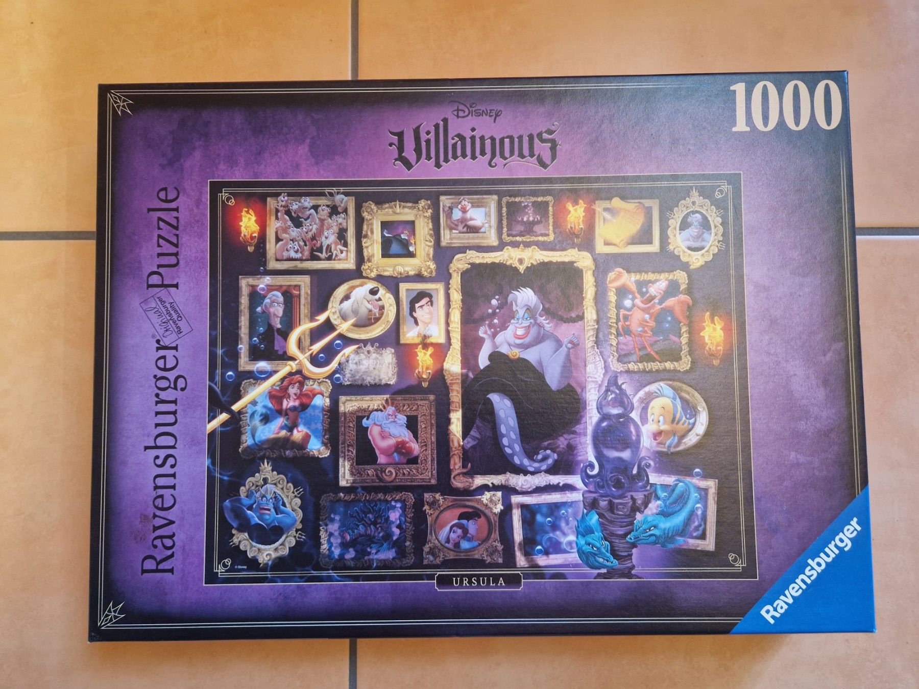 Ravensburger Puzzles: Ravensburger Puzzle Disney Villainous – Gebraucht aus Lichtensteig von Cocabana_16