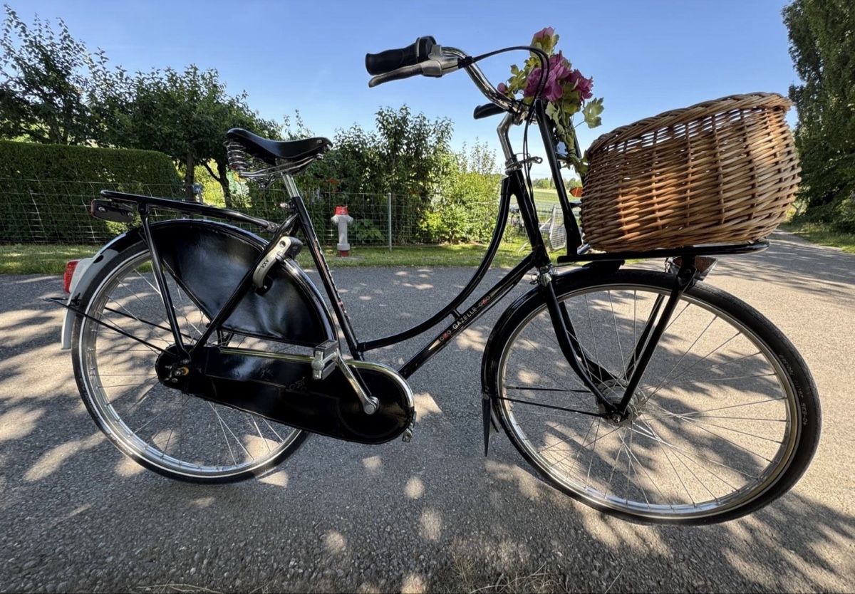 Gazelle Biciclette: Gazelle Hollandvelo Popular C7 – Usato da Fällanden venduto da Caramel7