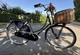 Gazelle Hollandvelo Popular C7