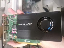 "NVIDIA Quadro K2000" Workstation-Grafikkarte zu verkaufen