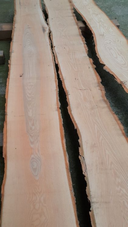 Articoli in legno: Eschen Holz – Nuovo (secondo la descrizione) da Grosswangen venduto da paluki 1