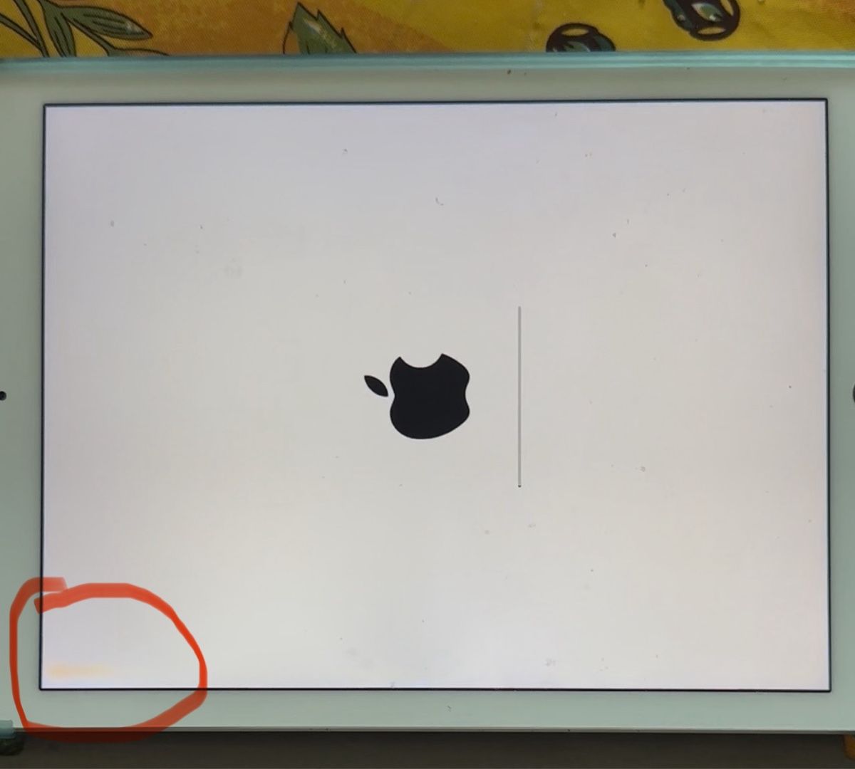 Apple Tablettes PC: iPad Air 2 16Go Wifi – D'occasion à MEYRIN par Allegro2022 3