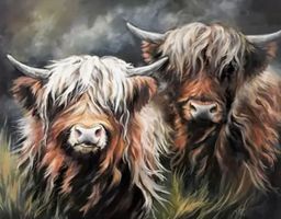 Malen nach Zahlen-kreativ-Highland-Kühe 40x50cm