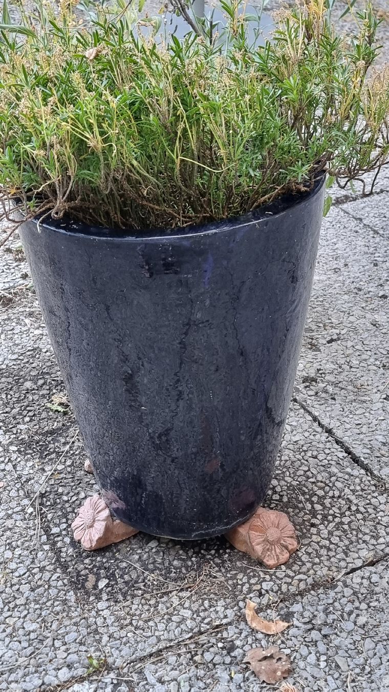 Vasi per fiori: Keramiktopf dunkelblau – Usato da Twann venduto da MW51 4