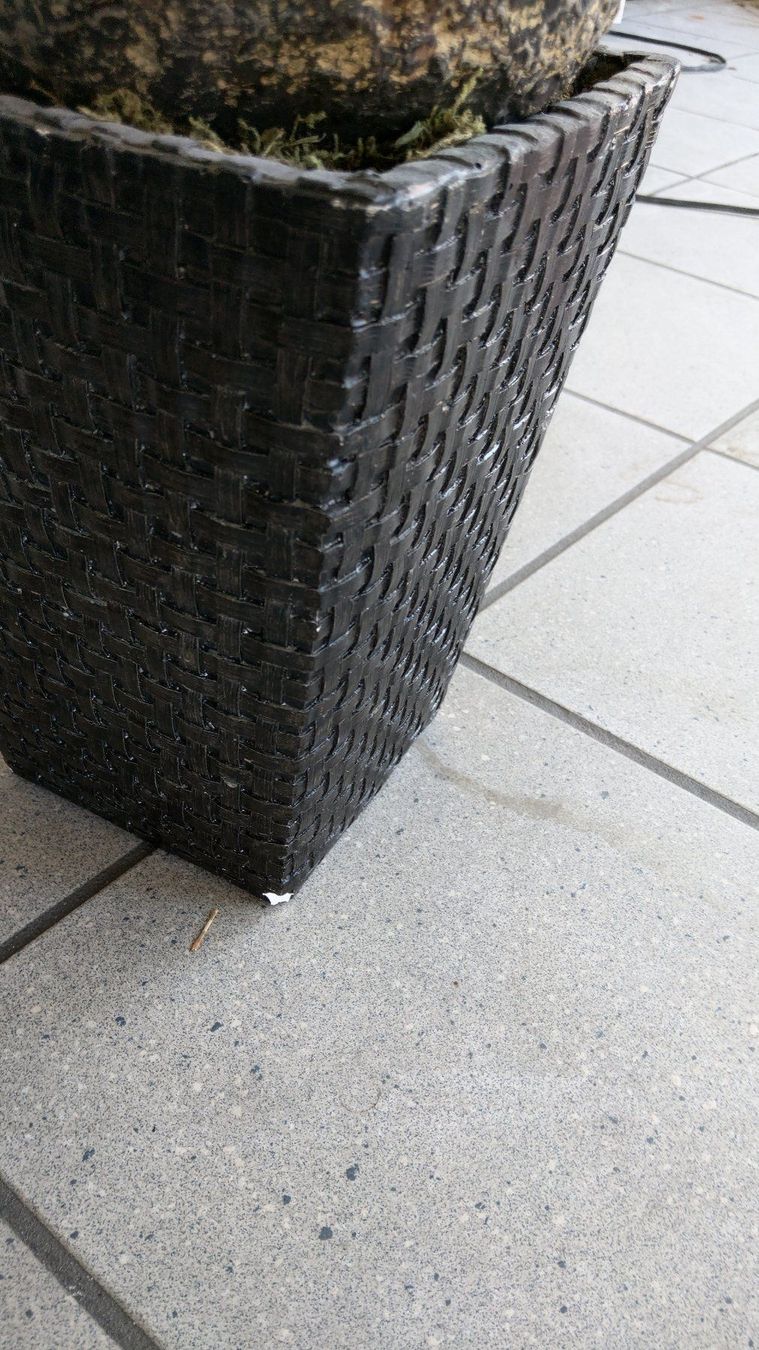 Piante & sementi: Kunstpalme aus dem Showroom – Nuovo e nell'imballaggio originale da Däniken SO venduto da Profog1 2