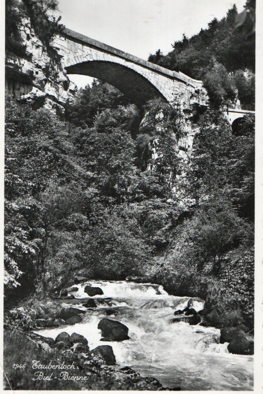 Cartoline postali: Biel/Bienne - Taubenloch – Usato da Melano venduto da pisonsdro