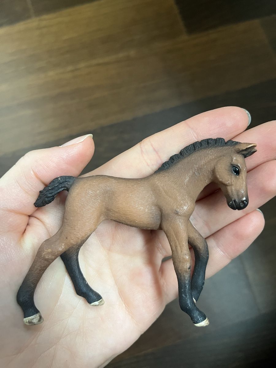 Schleich Giocattoli: Schleich Pferdefohlen & Pferd – Usato da Pfäffikon ZH venduto da mal_xs7b 1