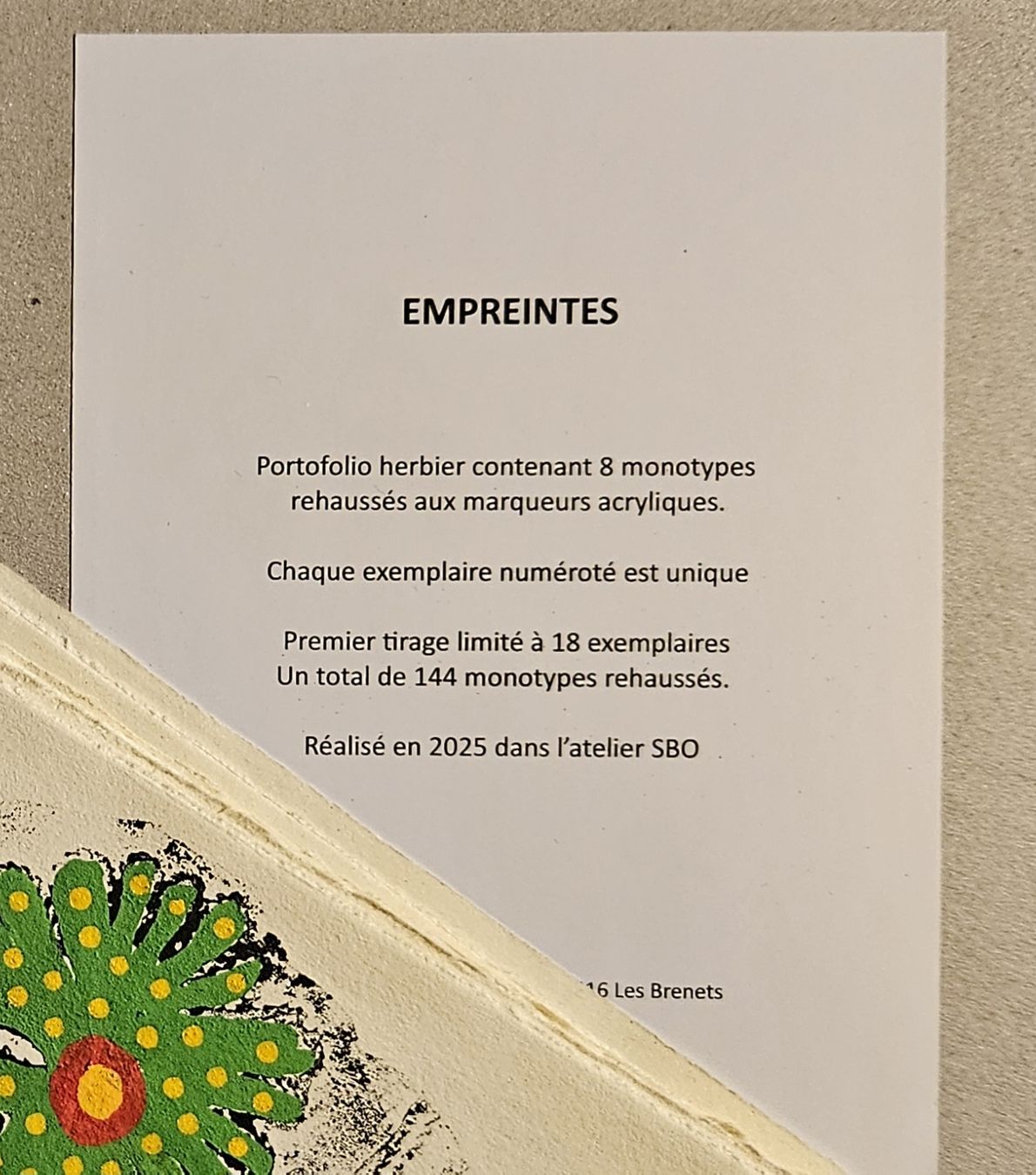 Incisioni: Gravures Monotypes Herbier "Empreintes" 2025, tirage limité! – Nuovo e nell'imballaggio originale da Les Brenets venduto da SBO56 2
