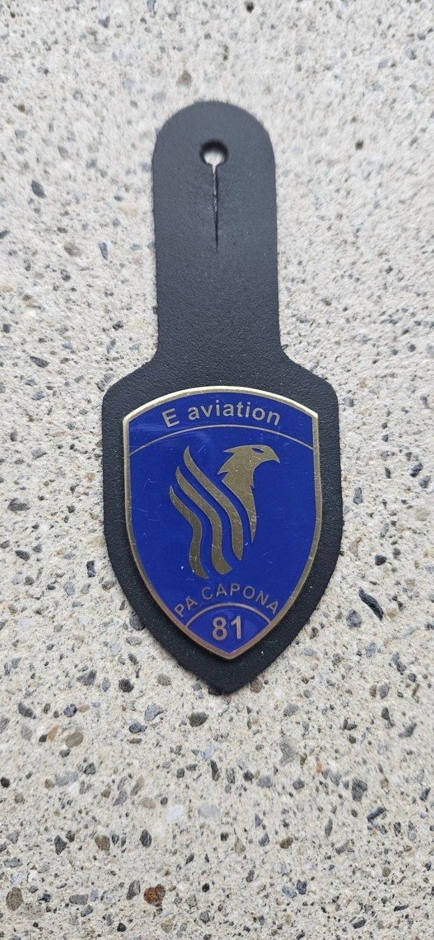 Schweizer Armee Placchette & Badge: *** Brustanhänger Luftwaffe Rare *** – Nuovo e nell'imballaggio originale da Riedholz venduto da fr_sIruP