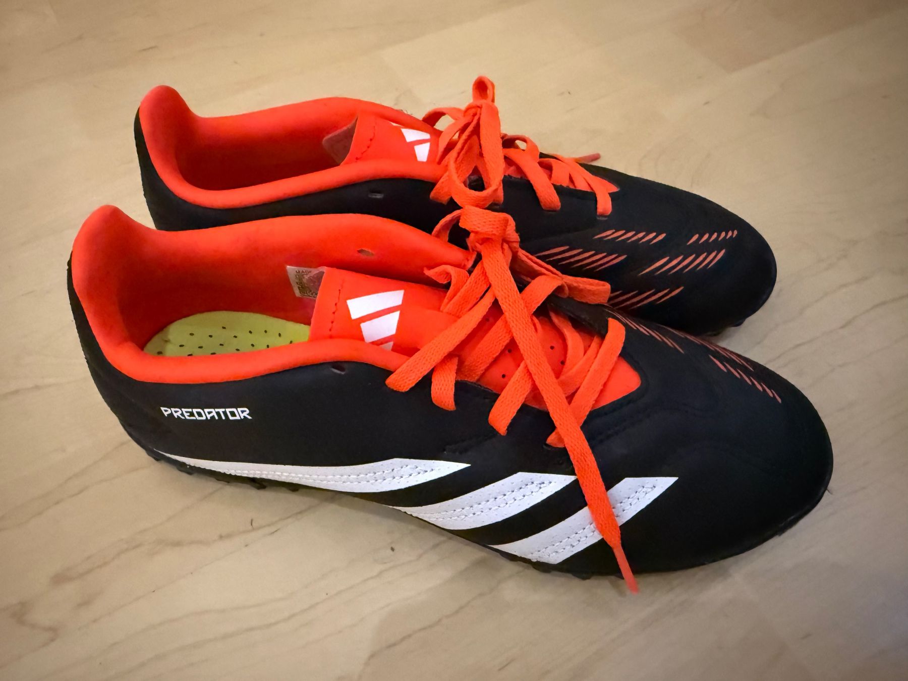 Adidas Chaussures hommes: neue Turnschuhe Adidas Predator gr. 38 2/3 – Neuf (Voir description) à Uster par pas_ytj2