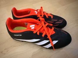 neue Turnschuhe Adidas Predator gr. 38 2/3