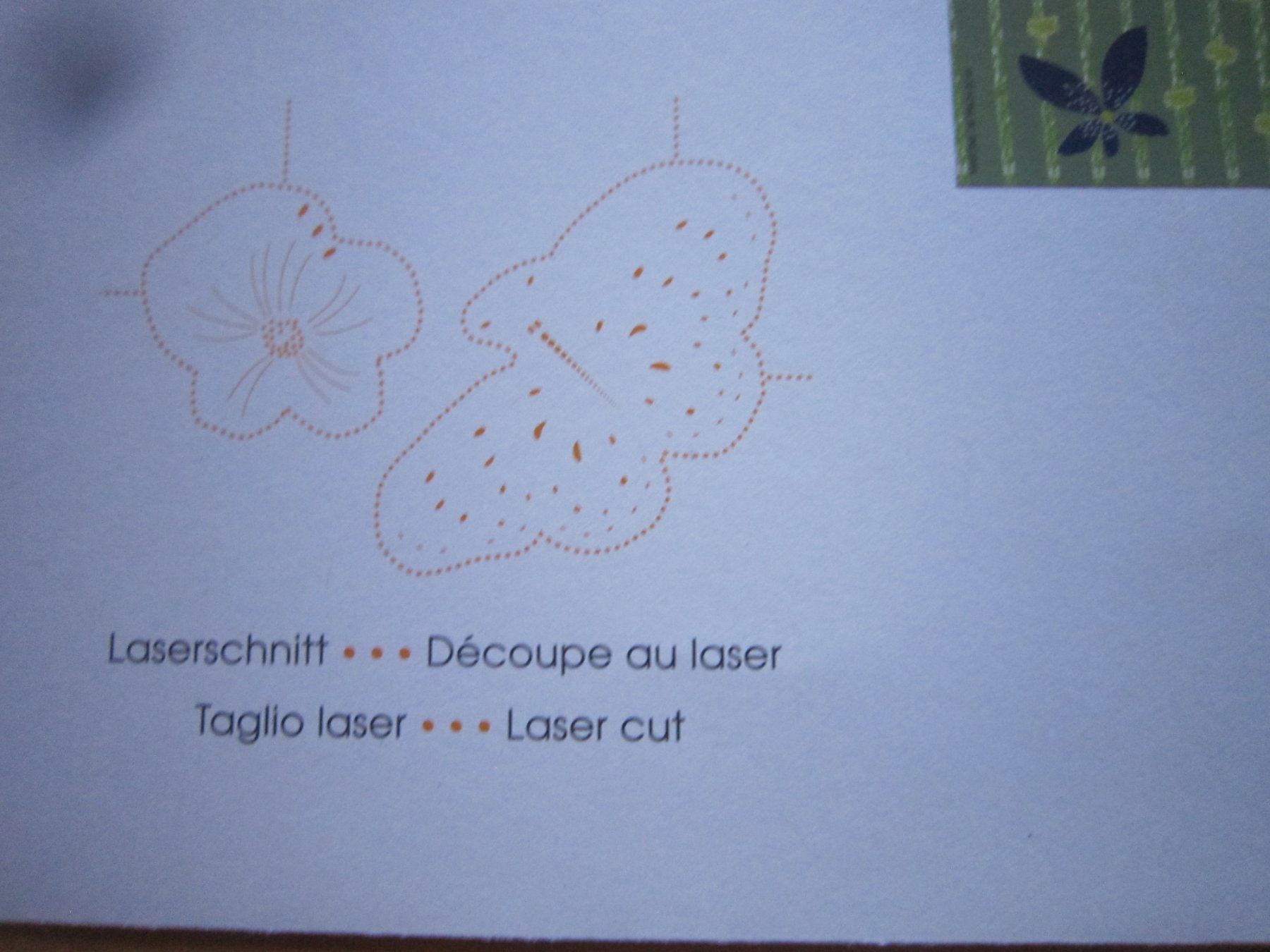 Tutti i francobolli: 2016 Grossbrief Laserschnitt Block Sommervögeln – Usato da Gordola venduto da Polentaefung 3