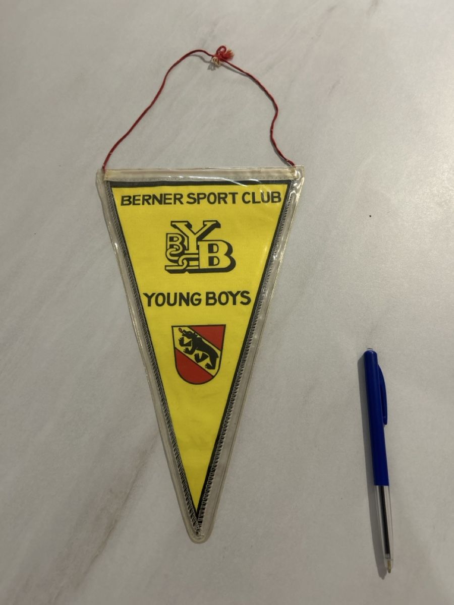 UEFA Bandiere: Wimpel BSC Young Boys Bern – Usato da Genève venduto da jon_ydl8 1