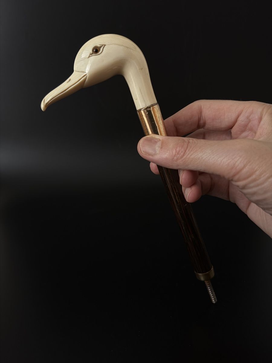Sculture & Statue: Antiker Gehstockgriff Entenkopf aus Knochen – Usato da Luzern venduto da downtonabbey