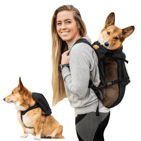 K9 Sport Sack Walk-On 3in1, S