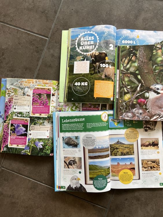 Livres: Alles über Tiere – D'occasion à Gattikon par Sunshine4. 1