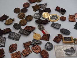 Grosse Sammlung Fasnachts-Plaketten & Abzeichen (26081849)