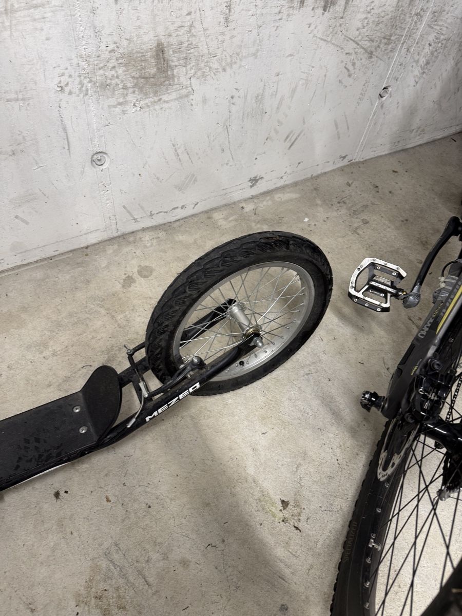 Kickboard: Trottinett Scooter – Usato da Herisau venduto da GK25 2