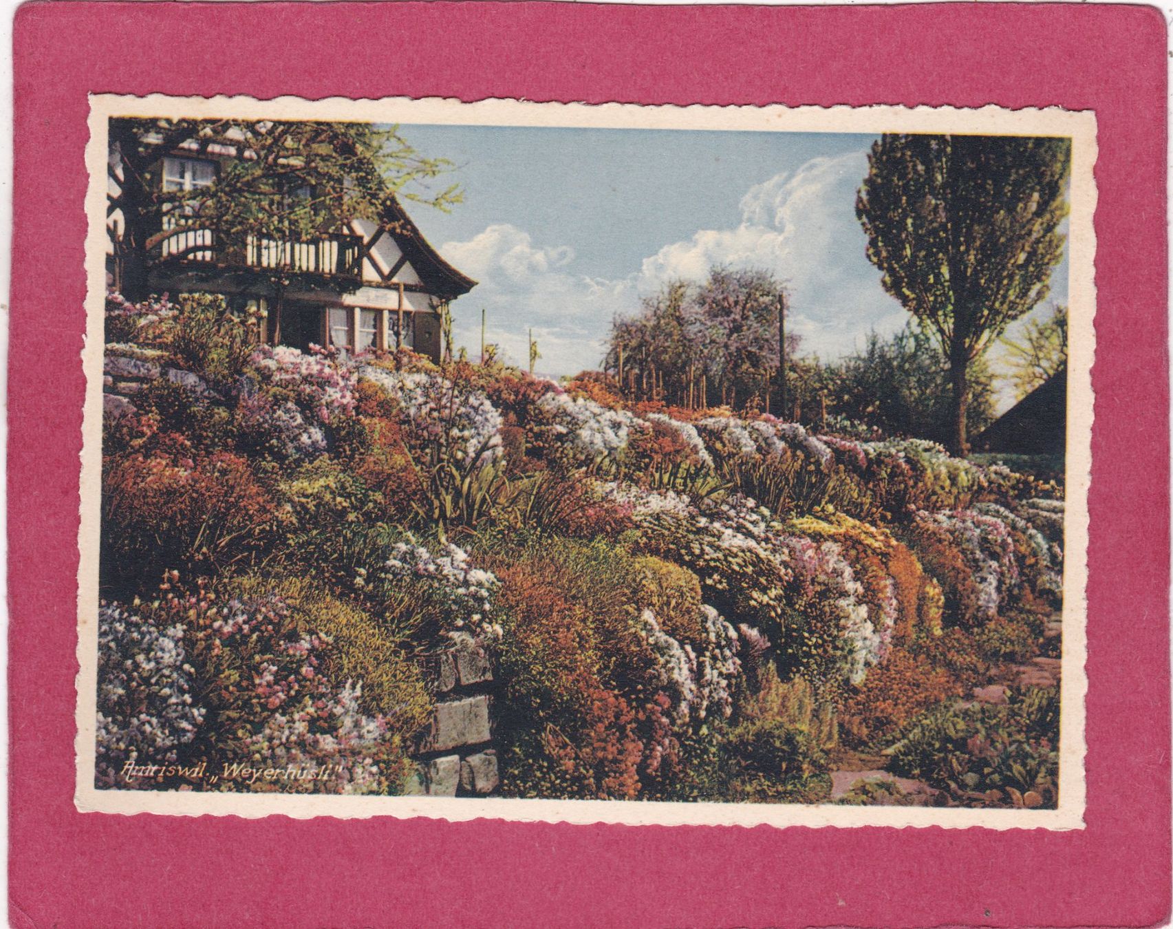 Cartoline postali: Amriswil  " Weyerhüsli " – Usato da Herisau venduto da Lisegrat2008