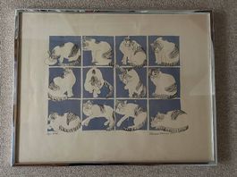 Katzenbild