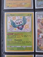 Shiny Bauz