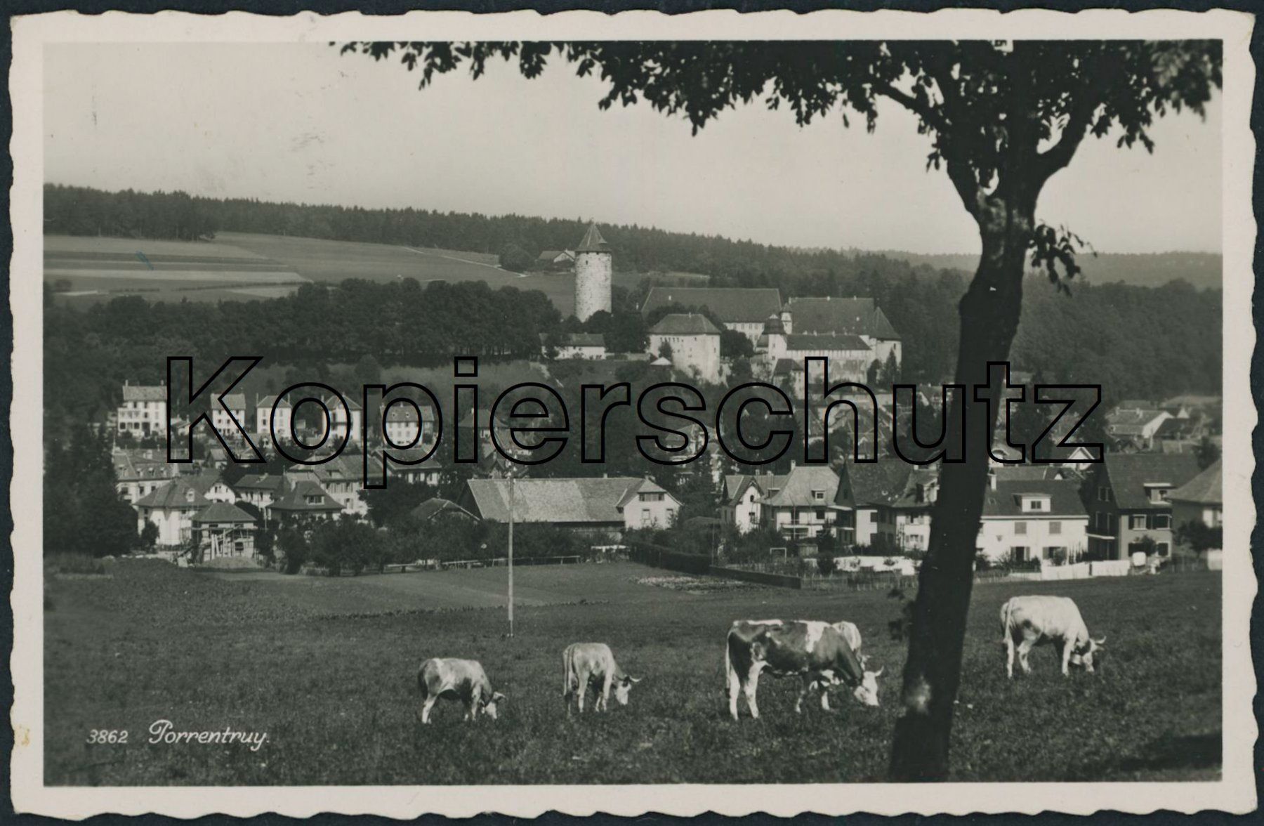 Cartoline postali: JUS Porrentruy – Usato da Schindellegi venduto da dolpitz