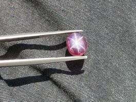 STERN SPINELL  purpur  / rot   3.50cts  Sri Lanka