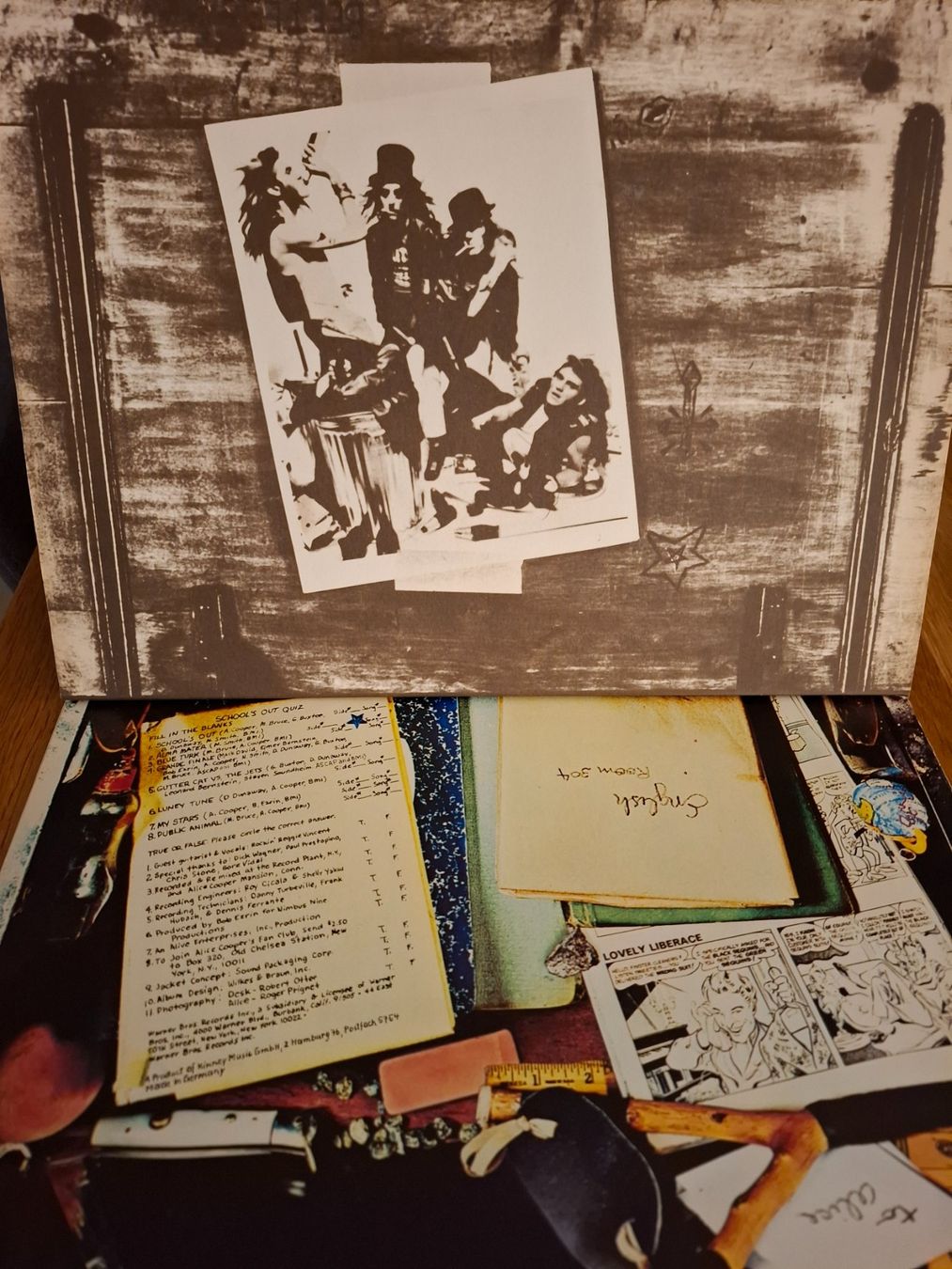 Dischi in vinile: Alice Cooper, School Sout LP, Vinyl – Usato da Zürich venduto da Loubol 2